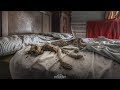 Untouched Abandoned House (FOUND MUMMIFIED PET OF LAST OWNER) *Warning*!!