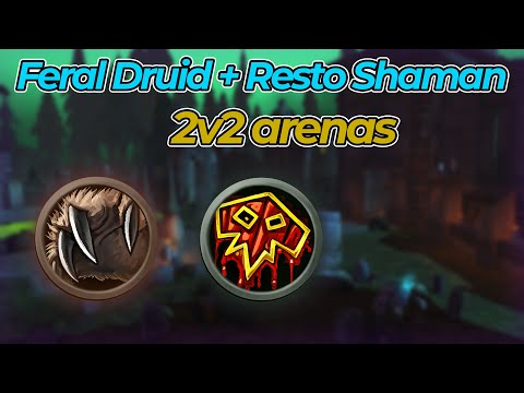 Rank 1 Feral + Resto Shaman 2v2 arenas – WotLK