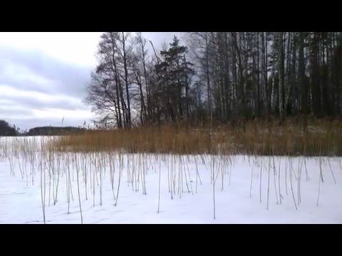 Рыбалка в Воркутинском районе Рыбалка в Воркутинском районе