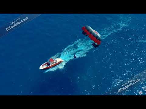 StayFryd - Adrenaline - Neon NightLife