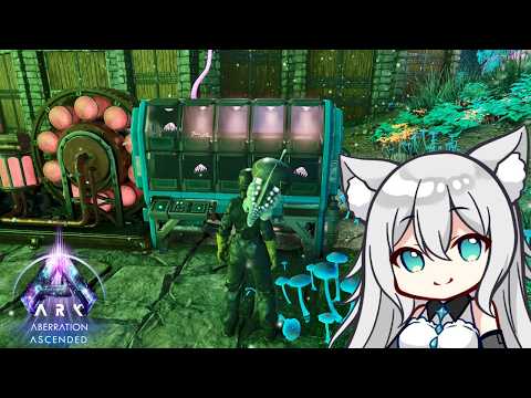 【朝活】おはよう！！まったりブリーディングしたり探索したりしていくよ！！🐈#37[ARK: Survival Ascended　Aberration]