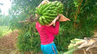 I never Expected this || Home Village💥‼️