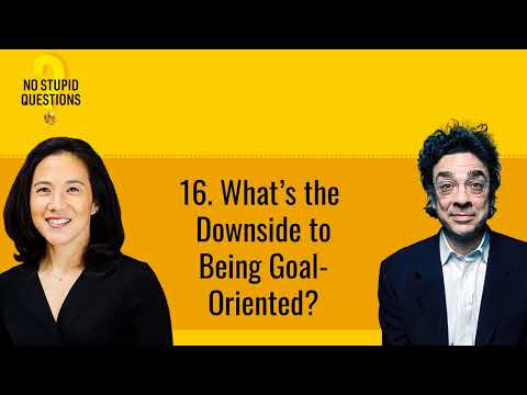 16. What’s the Downside to Being Goal-Oriented? | No Stupid Questions