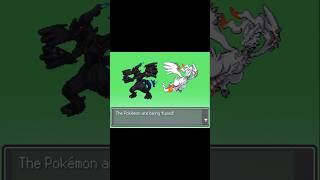 Good!! Zekrom and Reshiram Fusion #pokemon #pokemontcg #pokemoncommunity #pokemonfan
