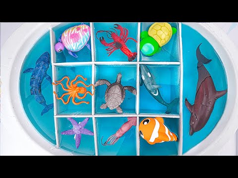[🐋toy asmr 🐋] Zuru Robo Fish & RC Whale & Sea Animal Toys ASMR | Satisfying Unboxing
