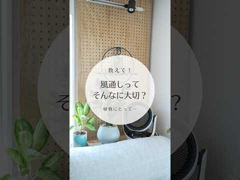 2022年のウィンターベールの選び方