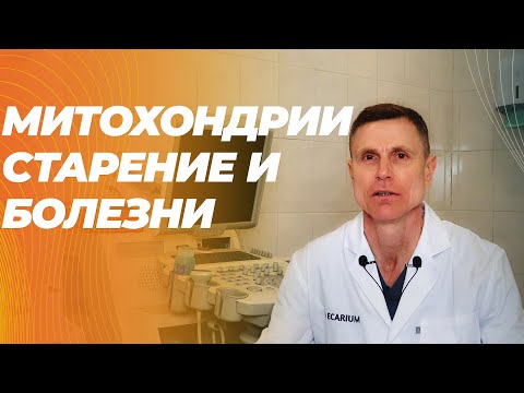 Как нарушение функции митохондрий связано с диабетом, раком, болезнью Альцгеймера и болезнями сердца Как нарушение функции митохондрий связано с диабетом, раком, болезнью Альцгеймера и болезнями сердца