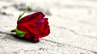 TENGO QUE OLVIDAR- Juan Gabriel