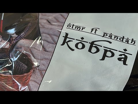 OTMR x PNDH-COBRA (lyric video) #новыйтрек #казахстан #трек