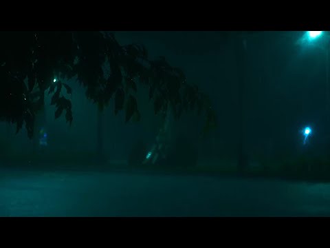 Soothing Gentle Spring Rain in the Old Park at Night | 10 Hours for Relaxation and Sleep