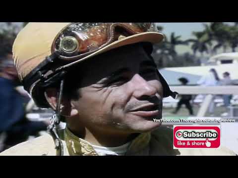 1995 THE DONN HDCP  Holy Bull vs  Cigar in Battle of the Heavyweights