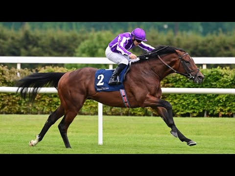 DELACROIX 4/1 for Derby after oozing class in Derby Trial