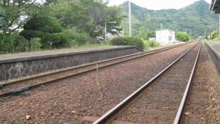 Voices/Our Last Night