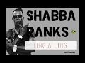Shabba Ranks Ting A Ling Dancehall Lyrics Provided By Cariboake The Official Karaoke Event