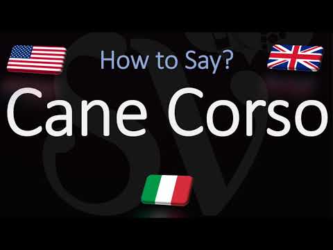 1st YouTube video about how to say cane corso