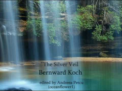 BERNWARD KOCH - The Silver Veil