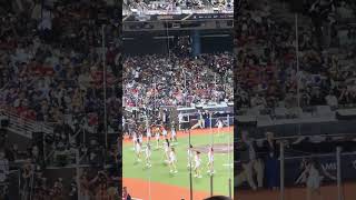 【CTAMAZE】PREMIER12 台湾VSオーストラリア@台北大巨蛋20241117 #台湾チア #cheerdance #cheerleading #啦啦隊 #amaze #teamtaiwan