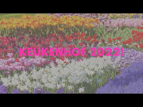 KEUKENHOF GARDENS in 2022! You HAVE to Vist