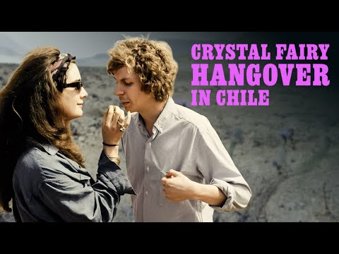 Crystal Fairy - Hangover in Chile (KOMÖDIE mit MICHAEL CERA, Abenteuerfilme auf Deutsch)
