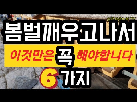 , title : '#양봉봄벌깨우고해야할일  #양봉2월해야할일6가지 #양봉버들강아지필무렵진득이방제 집중적으로 하기'