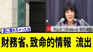 【衝撃】片山財務大臣、就任会見で遂にあの・・・