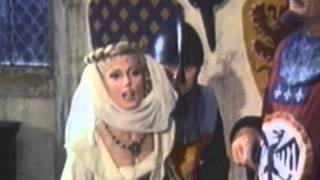 The Zany Adventures of Robin Hood (1984) Video
