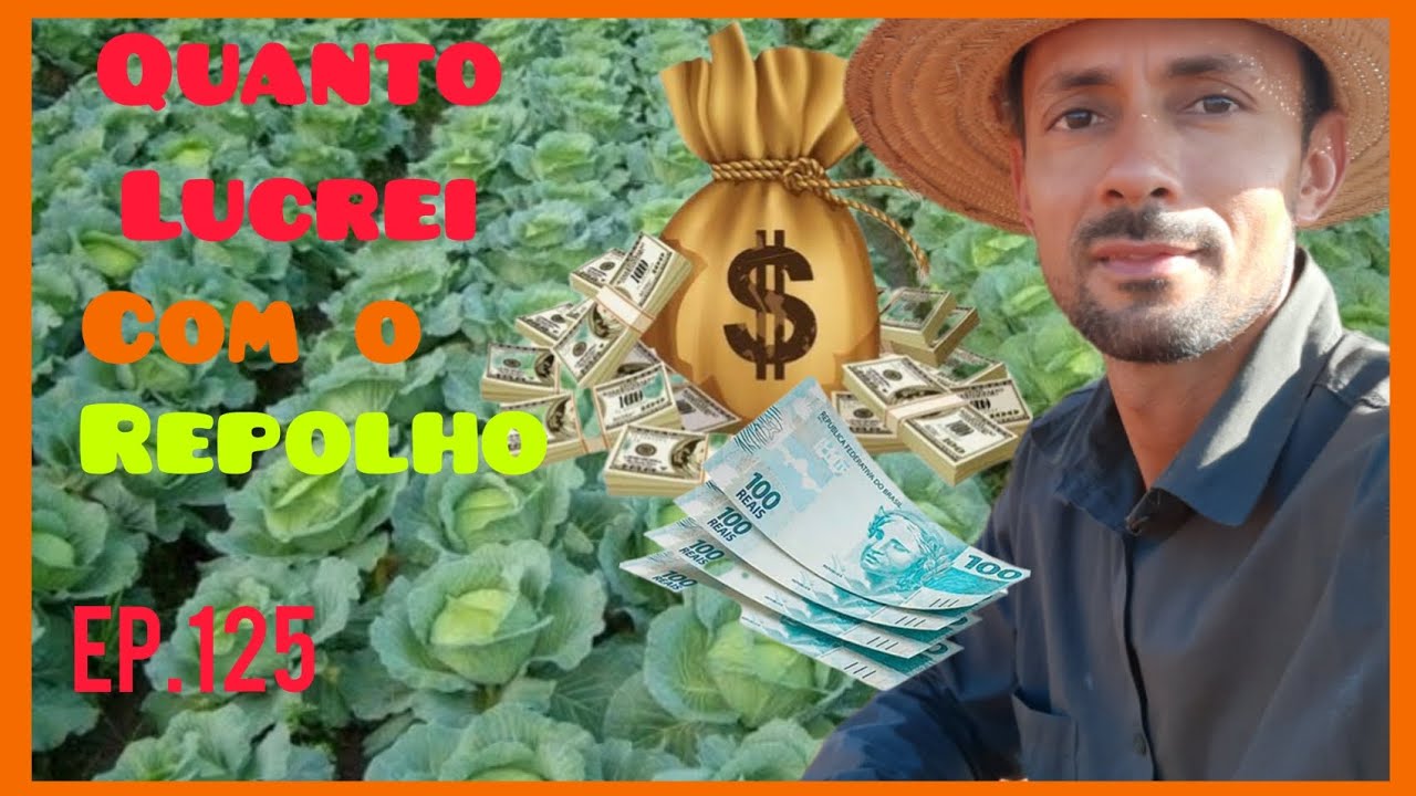 Quanto ganho com a agricultura/produzir hortaliças da dinheiro/Como tornar uma propriedade rentável
