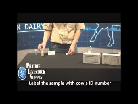 Porta Check SCC Milk Test