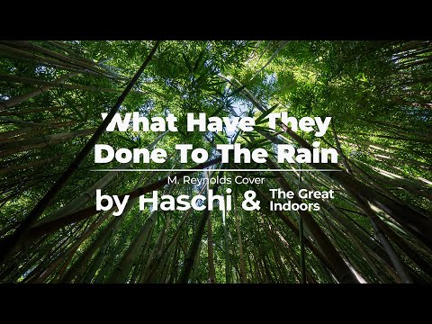 Haschi & The Great Indoors – What Have They Done To The Rain (Cover)