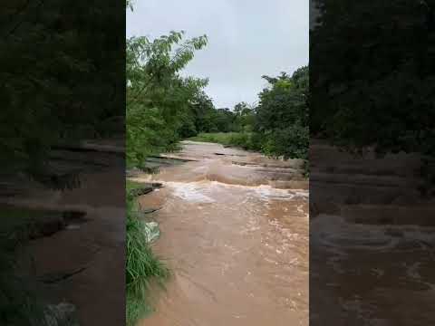 Cachoeirinha de córrego do ouro Goiás... #chuvas #paisagemnatural #animals #naturezasurpreendente