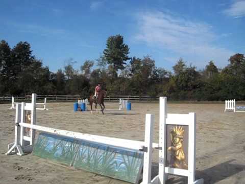 Yellowstone and Rio 009