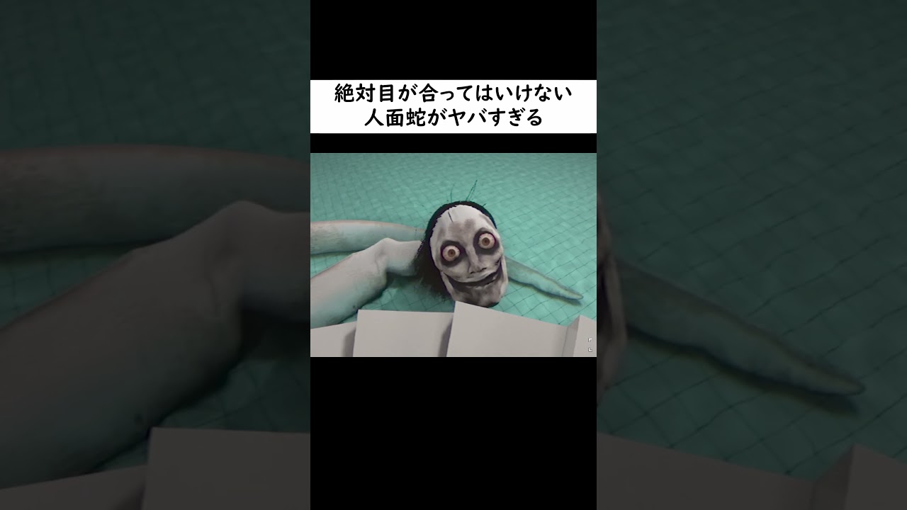 絶対に目が合ってはいけない人面蛇がヤバすぎる【The Classrooms】