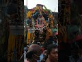 Masimagam Thiruvizha In Pondicherry Shorts Thiruvizha
