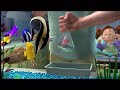 Don T Put This Video On 2x Speed 2 PLEASE DO NOT BLOCK THIS DISNEY