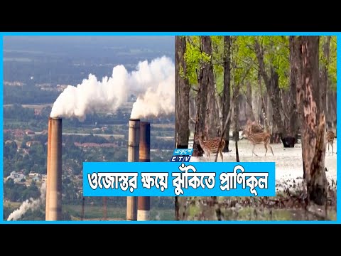 দিন দিন ক্ষয় হচ্ছে বায়ুমণ্ডলের ওজোনস্তর