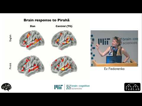 From Fieldwork to Linguistic Theory: A Tribute to Dan Everett (Session 2)