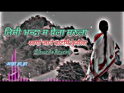 Timi bhanda ma paila maraula 💞🌺New Nepali Romantic song [Slowed+Reverb]-Lofi