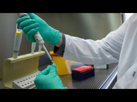 Scientists are researching the properties of the omicron variant