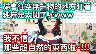 【Hololive中文翻譯】Mio覺得貓咪會盯著空無一物的地方不是看到鬼 而是動物太閒了www明明超怕鬼卻完全不相信那些超自然的東西呢www【大神ミオ/大神澪】