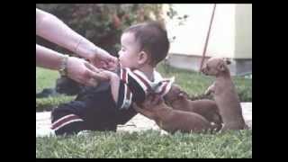 Are You Sure--The Staple Singers