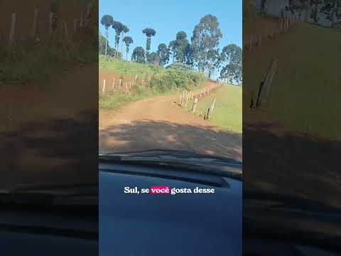 Mais um belo trecho do nosso interior de Turvo PR