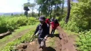 Download lagu P I K N I K ( Pohon Pinus Bissoloro ) mp3