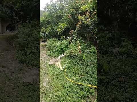 apulo Cundinamarca estupenda travesía exploradores del pedal