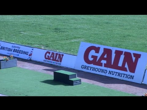 Owlerton Stadium Trials  Thursday 12th August 2021