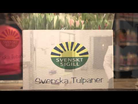 Svenska tulpaner - en utbildningsfilm för butikspersonal