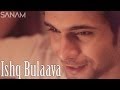 Ishq Bulaava Hasee Toh Phasee Sanam Valentine S Day Special