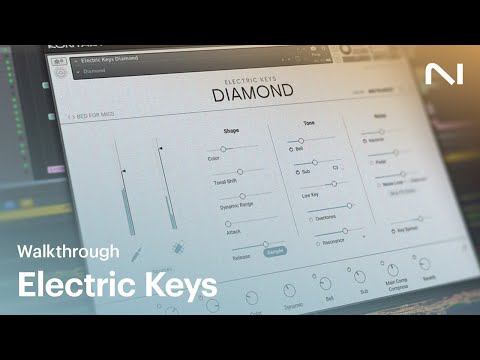 Discover the Electric Keys – Tines Duo | Native Instruments
