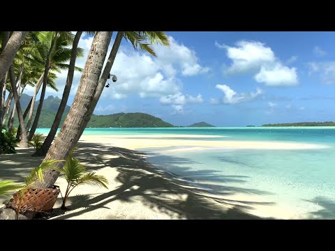 Private Island 🏝 Tour Tropical Beach | Motu Tane Bora Bora, French Polynesia 🇵🇫 | 4K Ultra HD Travel