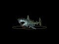 Great White Shark Rig WIP