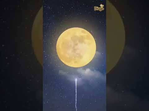 Happy birthday Navjot makaropur